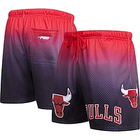 Men's Pro Standard Black/Red Chicago Bulls Ombre Mesh Shorts