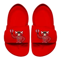 Toddler ISlide Red Chicago Bulls Mascot Slide Sandals