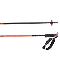 Polar Pro S3 - Men's Alpine Ski Poles