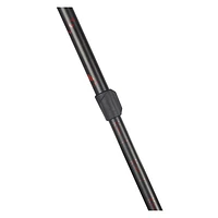 Migra 1 - Adult Trekking Pole