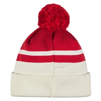 Team Pom - Adult Lined Tuque