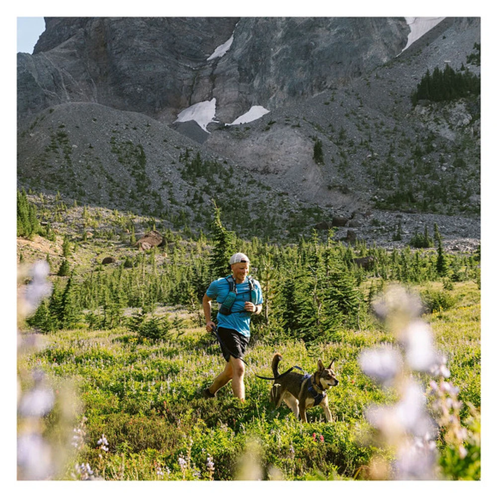 Front Range - Harnais pour chien