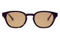 Miller Sunglasses - Mahogany 