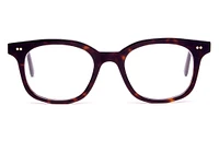 Harvey Large - Mahogany Glasses 