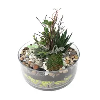 Round Terrarium