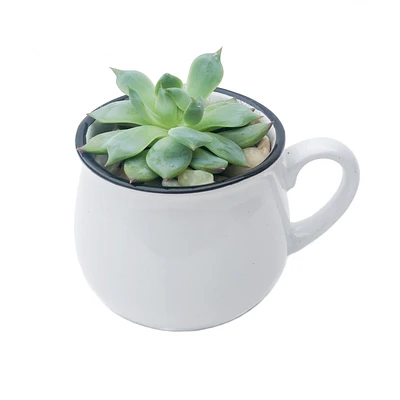 Rosetta Round Mug