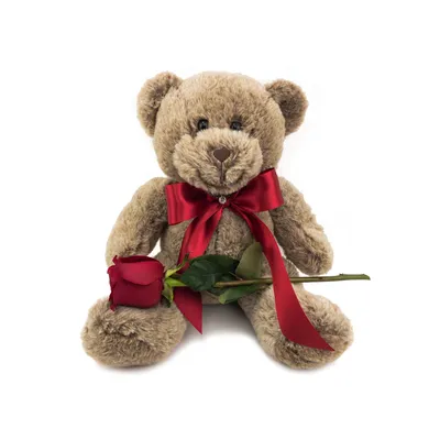 Teddy Bear and Fresh Rose