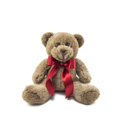 Single Teddy Bear