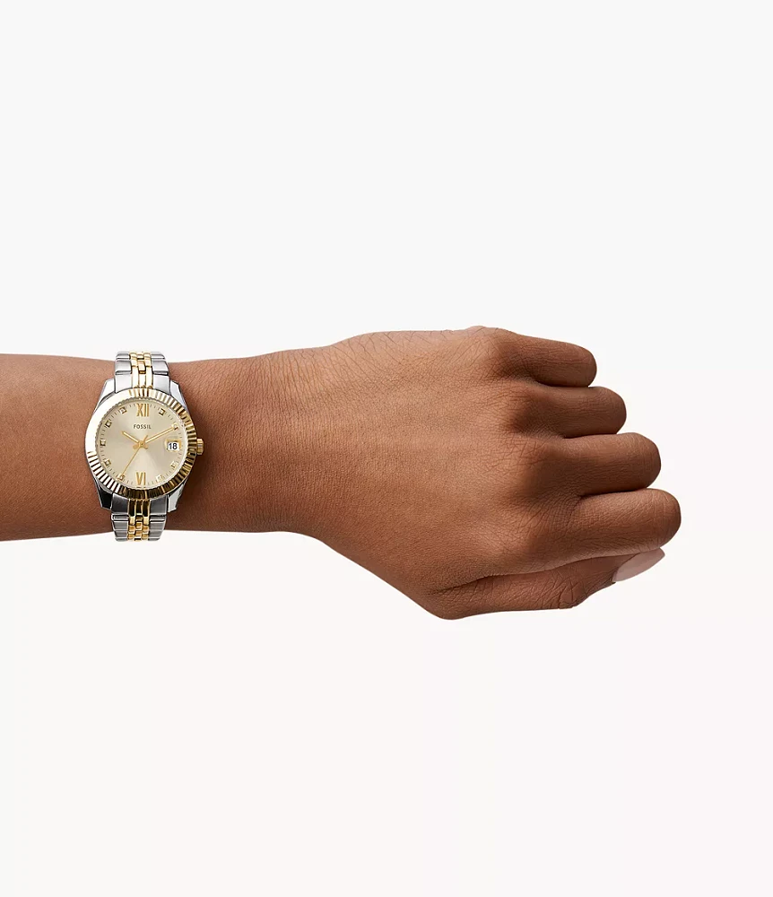 Scarlette Mini Three-Hand Date Two-Tone Stainless Steel Watch