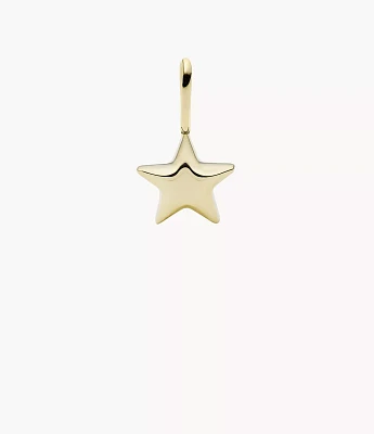 Oh So Charming Gold-Tone Stainless Steel Charm