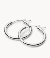 Stainless Steel Hoops