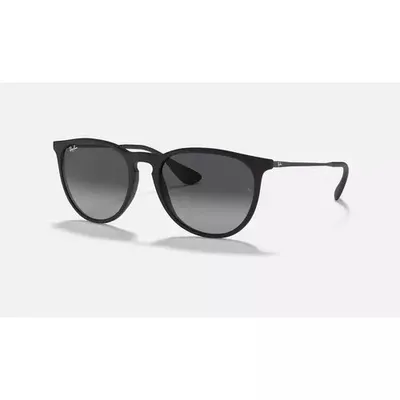 Ray-Ban Erika Classic