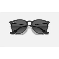 Ray-Ban Erika Color Mix (Polarized)