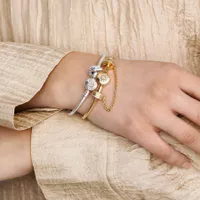 Charm Clip Chaîne de Confort Signature Pandora