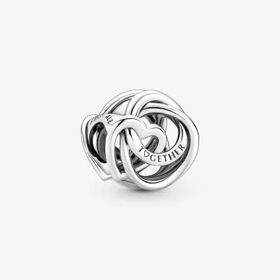 Charm Cœur et Cercles Ma Famille Pour Toujours