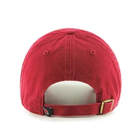 Arizona Cardinals Team Colour Clean Up