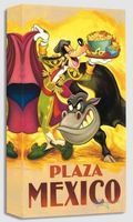 Goofy Plaza Mexico