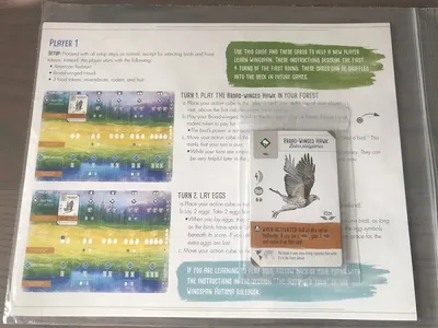 Wingspan with Swift Start - Board Game