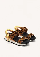 Gioseppo Leverett leopard