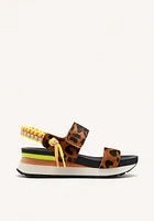 Gioseppo Leverett leopard