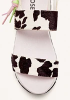 Gioseppo Leverett cow