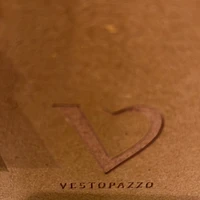 Vestopazzo aluminum earrings