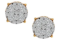 .75 Carat of Lab Grown Diamond Cluster Stud Earrings, 10kt Yellow Gold.....................NOW