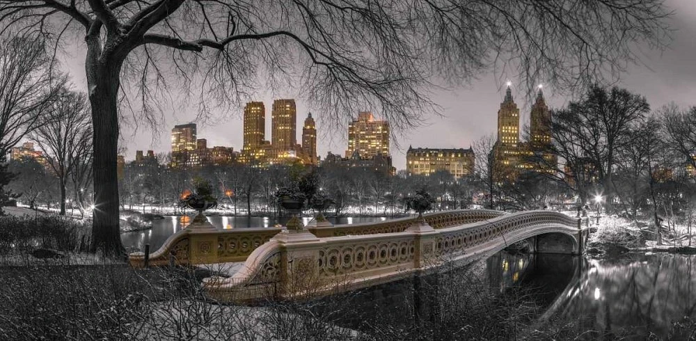 Assaf Frank - Central park with Manhattan skyline