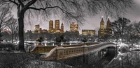 Assaf Frank - Central park with Manhattan skyline