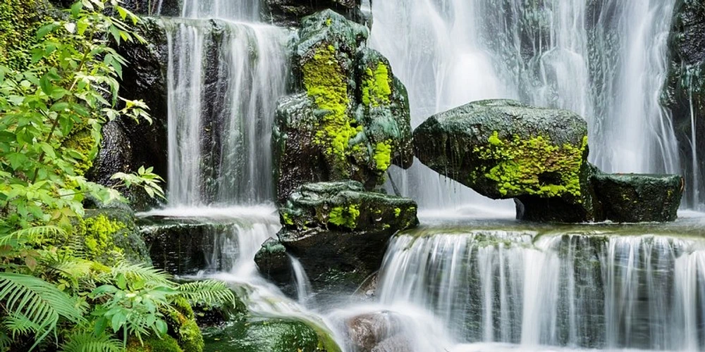 Stephen Yong - Tropical Water Fall