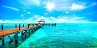 Ann Gavril - Exotic Caribbean Paradise