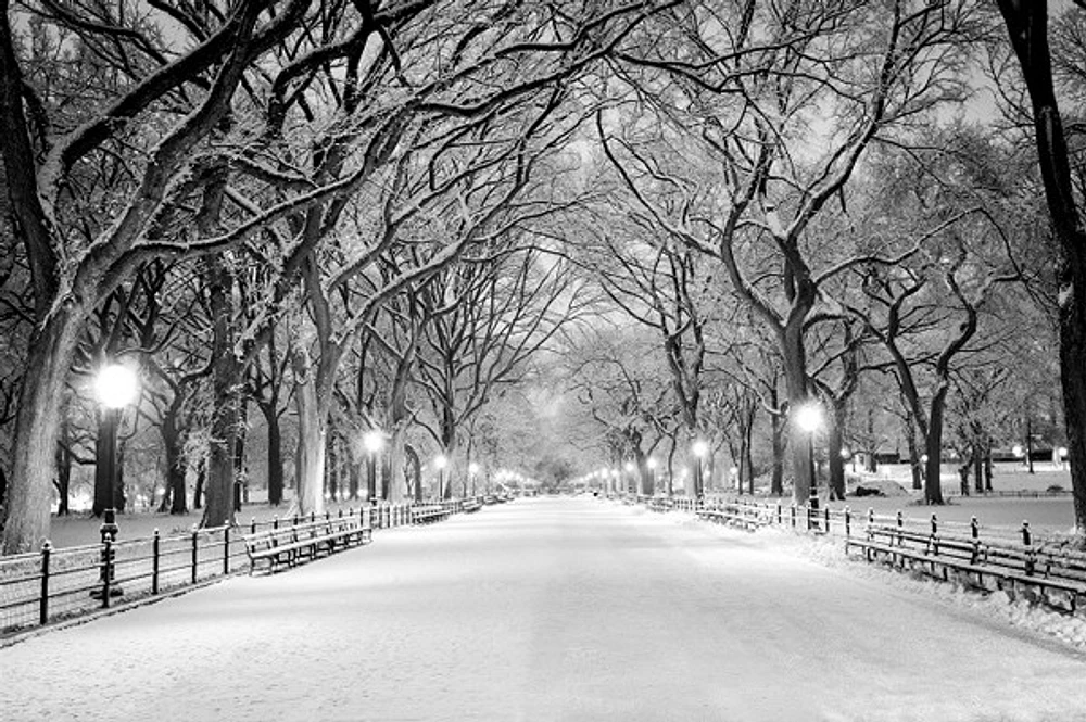 Jameela Danai - Central Park, NY Covered Snow