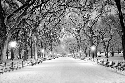 Jameela Danai - Central Park, NY Covered Snow