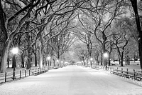 Jameela Danai - Central Park, NY Covered Snow