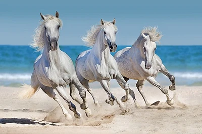 Jocelyn Borivoj - Horses Run Along The Coast