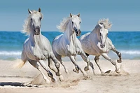 Jocelyn Borivoj - Horses Run Along The Coast
