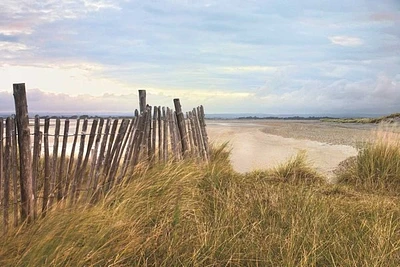 Assaf Frank - West Wittering Beach