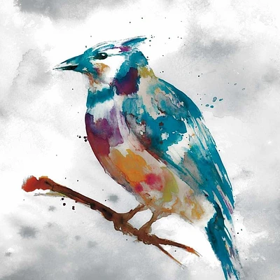 Stephane Fontaine - Blue Jay