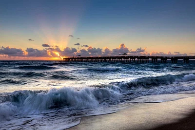 Celebrate Life Gallery - The Wave