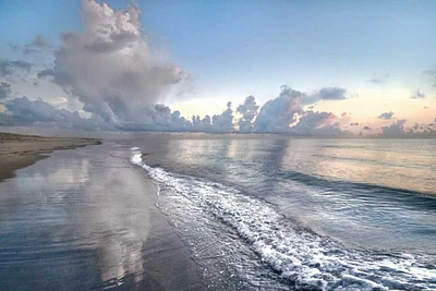 Celebrate Life Gallery - Quiet Morning