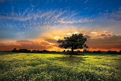 Celebrate Life Gallery  - Shadows at Sunset