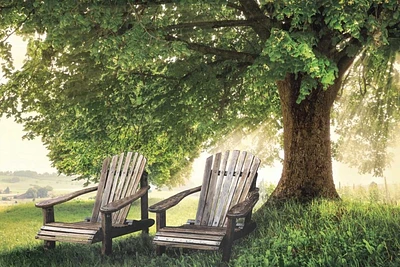 Celebrate Life Gallery - Made The Shade