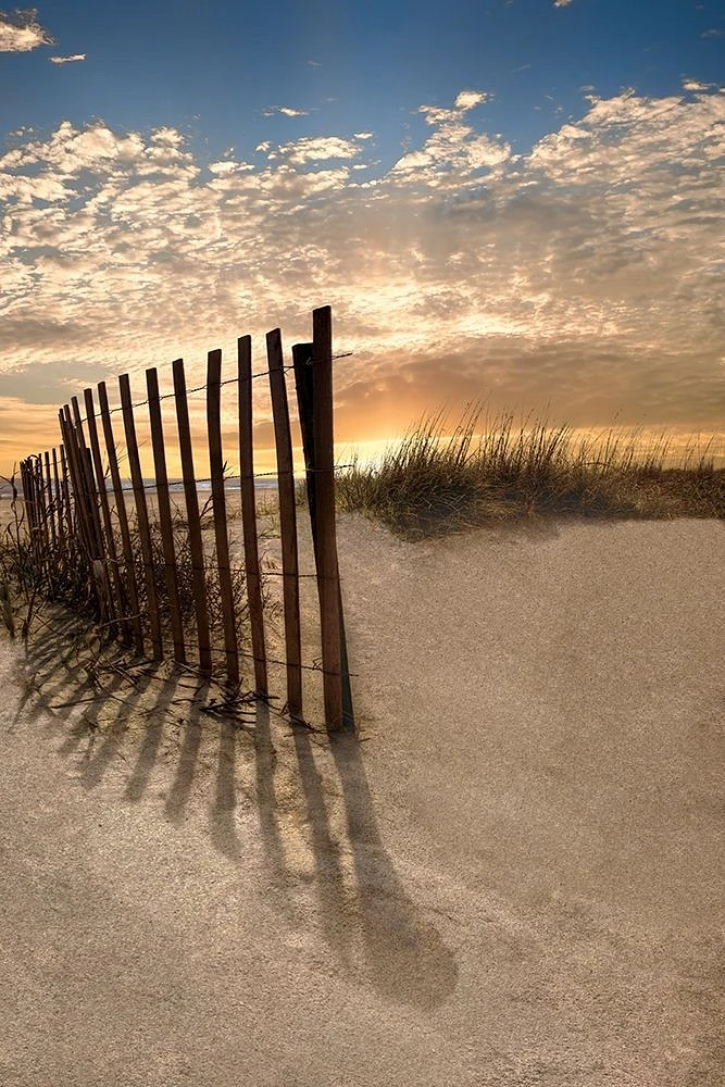 Celebrate Life Gallery - Dune Fence at Sunrise