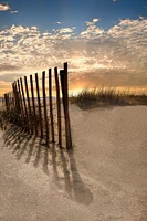 Celebrate Life Gallery  - Dune Fence at Sunrise