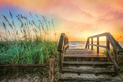 Celebrate Life Gallery - Walk Into Sunrise