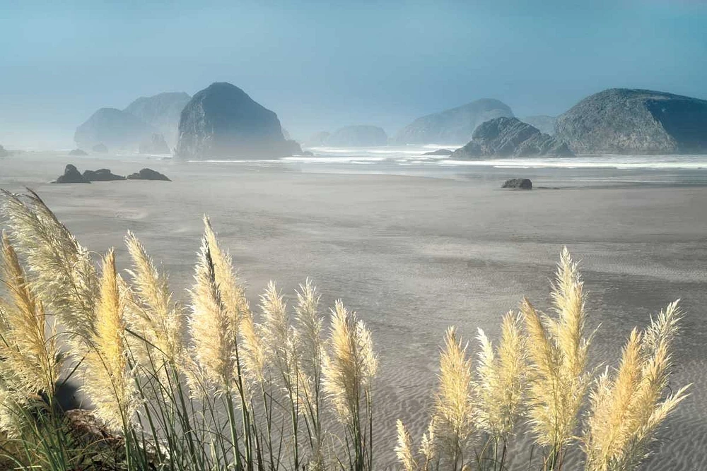 Dennis Frates - Pampas Beach