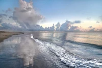 Celebrate Life Gallery - Quiet Morning