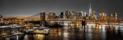 Frank Assaf - New York Panoramic