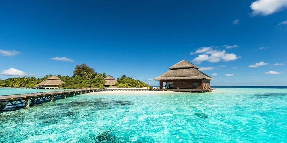 Dolores Flowers - Wooden Hut on Tropical Beach