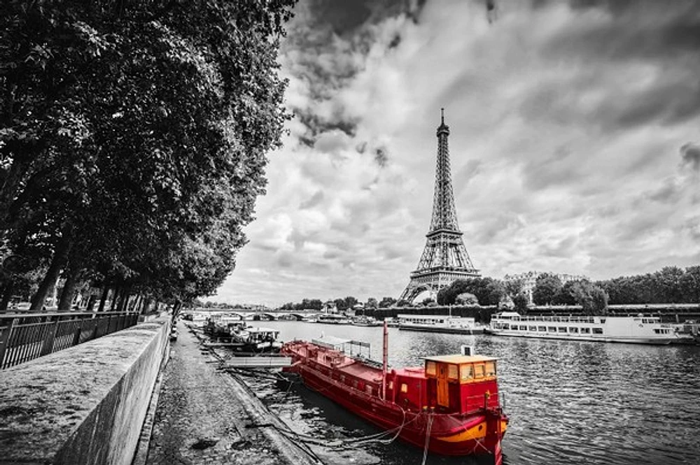 Pero Roshni - Eiffel Tower Over Seine River Paris